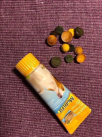 Tube mit Futter und Leckerli auf Tisch