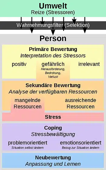 Schema von Stress