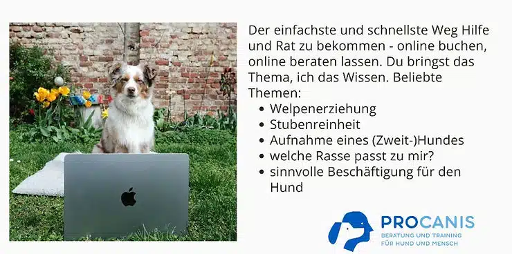 515bc1 87850987c72a4d039ae1a895ae45ab66~mv2