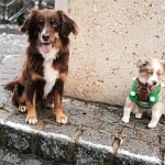 515bc1 ba8ae0947d9948acb97f5f5c6a578fd0~mv2