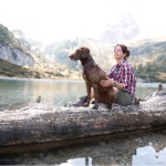 Dog sitting in a log with his owener