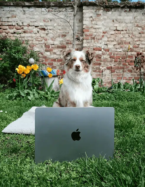 Amy hilft bei der Online Beratung!