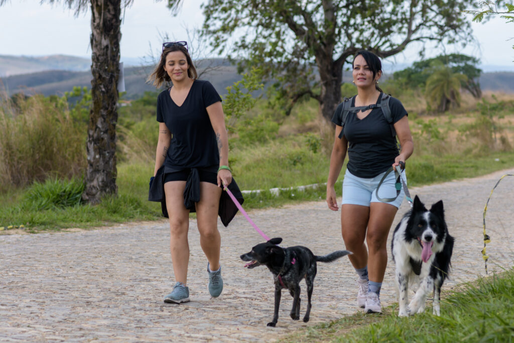 Mother and daughter walk together with their dogs in the late afternoon